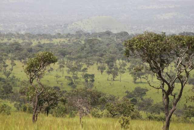 ذخایر طبیعت Bururi  در بوروندی آفریقا