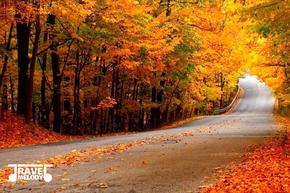 جنگل النگدره گرگان