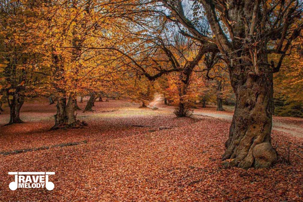 روستای مازیچال کلاردشت