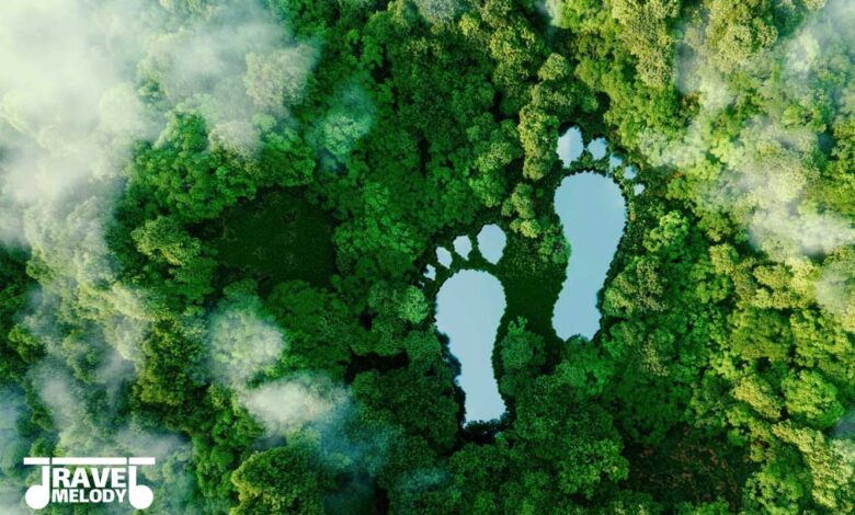 گردشگری پایدار چیست و چه نقشی در حفظ محیط زیست و اقتصاد محلی دارد؟