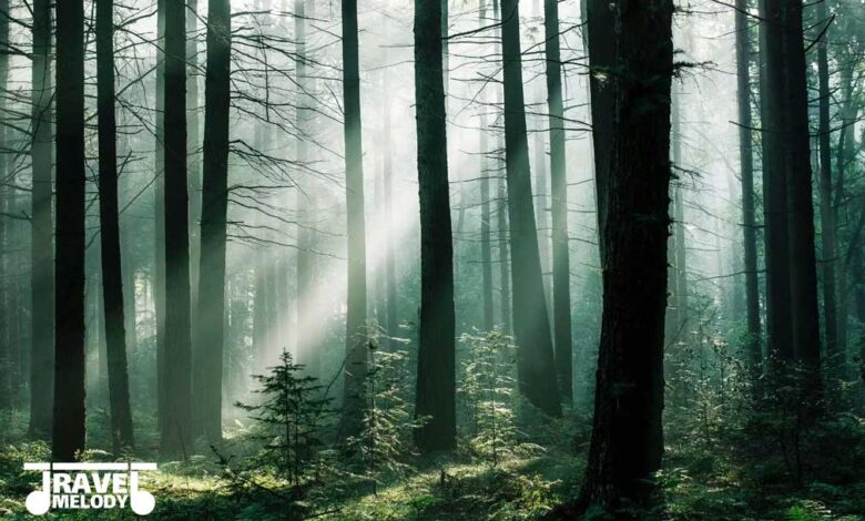 جاذبه های گردشگری شمال ایران: ۷ مکان شگفت انگیز و کمتر دیده شده که اغلب مسافران از آن خبر ندارند